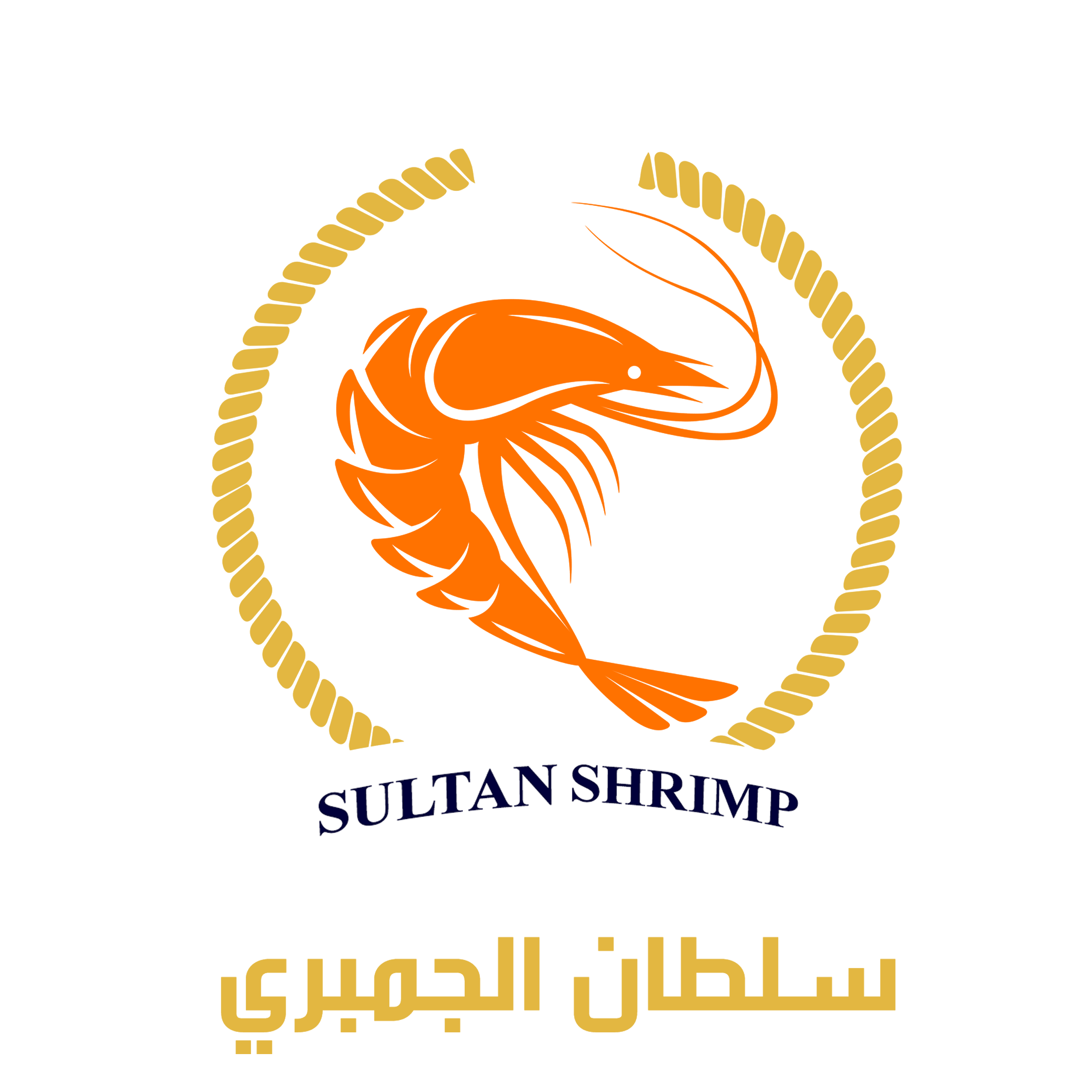 نظام اتش ار سلطان الجمبري